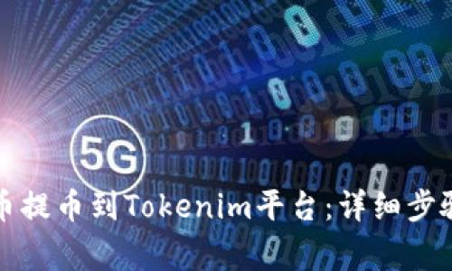 怎样将狗狗币提币到Tokenim平台：详细步骤与注意事项