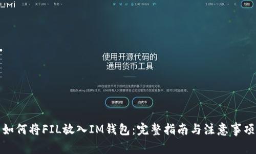 如何将FIL放入IM钱包：完整指南与注意事项