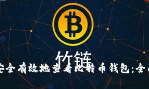 如何安全有效地查看比特币钱包：全面指南