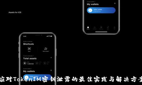   
应对TokenIM密钥泄露的最佳实践与解决方案