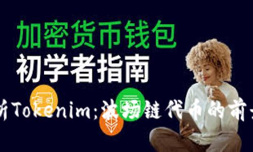 深入解析Tokenim：波场链代币的前景与应用