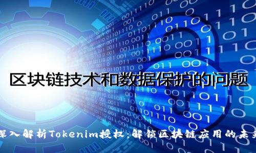 深入解析Tokenim授权：解锁区块链应用的未来