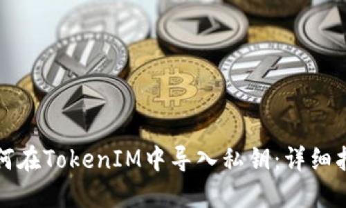 如何在TokenIM中导入私钥：详细指南