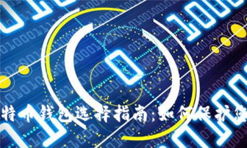 最安全的比特币钱包选择指南：如何保护您的数字资产