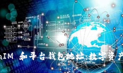 了解 TokenIM 和平台钱包地址：数字资产管理的未来