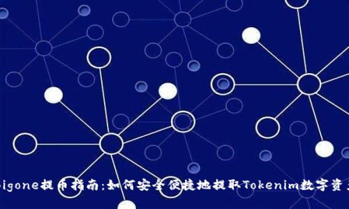 Bigone提币指南：如何安全便捷地提取Tokenim数字资产