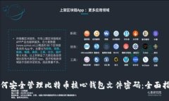 如何安全管理比特币核心钱包文件密码：全面指