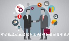 AMPL币可以放在以太坊钱包里吗？详细解析与常见