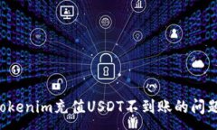:如何解决Tokenim充值USDT不到账的问题：全面指南