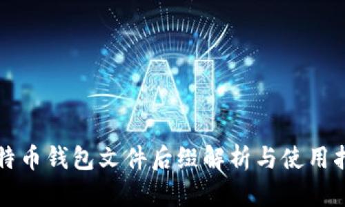 比特币钱包文件后缀解析与使用指南