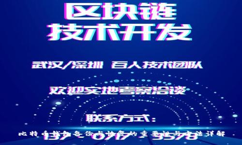 比特币钱包备份与恢复的重要性与方法详解