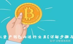 如何在SOL资产钱包内进行交易？详解步骤与注意