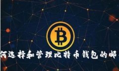 如何选择和管理比特币钱包的邮箱？