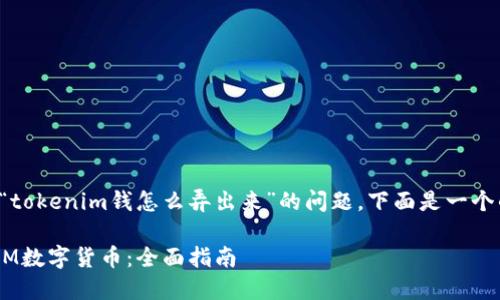 为了有效地回答“tokenim钱怎么弄出来”的问题，下面是一个的和相关关键词。

如何获取TokenIM数字货币：全面指南