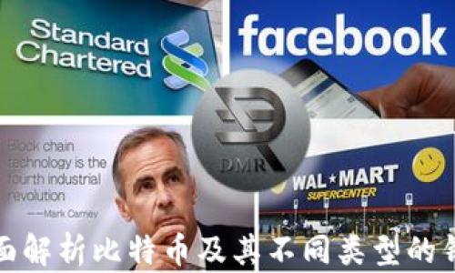 
全面解析比特币及其不同类型的钱包