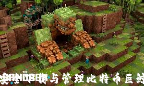 
如何安全下载与管理比特币巨鲸钱包