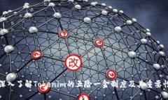 深入了解Tokenim的五险一金制度及其重要性