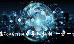 如何在Tokenim中导入私钥：一步一步指南