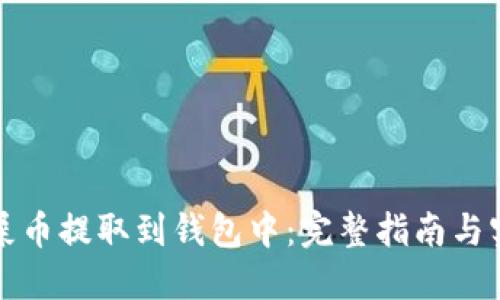 如何将屎币提取到钱包中：完整指南与实用技巧