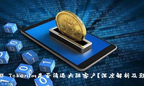 ## Tokenim是否清退大陆客户？深度解析及影响
