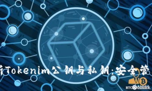 深入解析Tokenim公钥与私钥：安全管理与应用