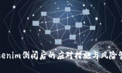 Tokenim倒闭后的应对措施与风险管理