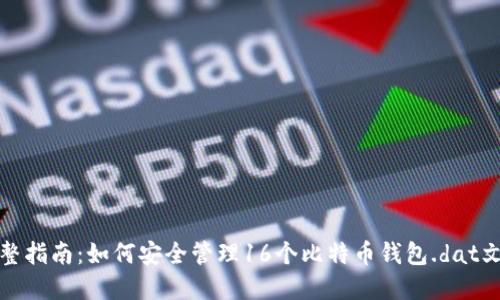 完整指南：如何安全管理16个比特币钱包.dat文件