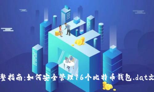 完整指南：如何安全管理16个比特币钱包.dat文件