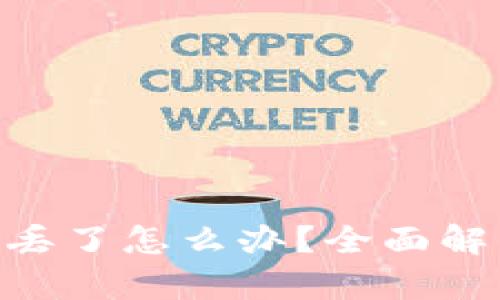 tokenim密钥丢了怎么办？全面解析及解决方案