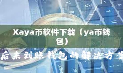 狗狗币提币后未到账钱包的解决方案与应对方法
