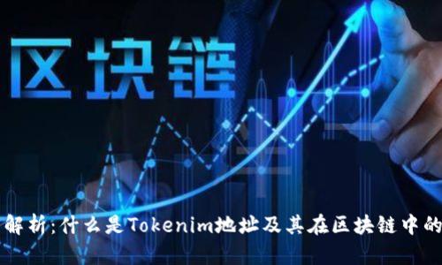 深度解析：什么是Tokenim地址及其在区块链中的应用