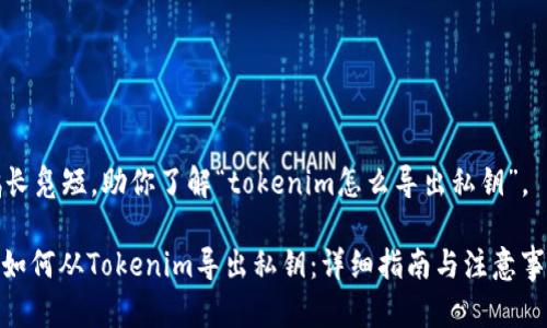 鹤长凫短，助你了解“tokenim怎么导出私钥”。

: 如何从Tokenim导出私钥：详细指南与注意事项