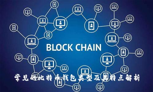 常见的比特币钱包类型及其特点解析