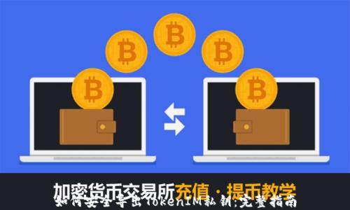 
如何安全导出TokenIM私钥：完整指南