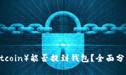 屎币（Shitcoin）能否提到钱包？全面分析与解答