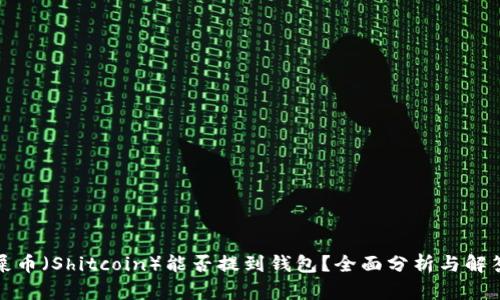 屎币（Shitcoin）能否提到钱包？全面分析与解答