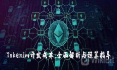 Tokenim开发成本：全面解析与预算指导
