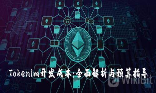 Tokenim开发成本：全面解析与预算指导