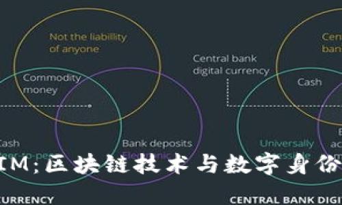 深入探讨TokenIM：区块链技术与数字身份的创新解决方案