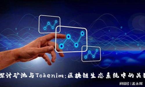 深入探讨矿池与Tokenim：区块链生态系统中的关键角色