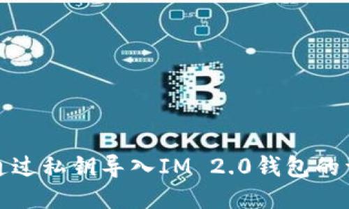 : 如何通过私钥导入IM 2.0钱包的详细指南