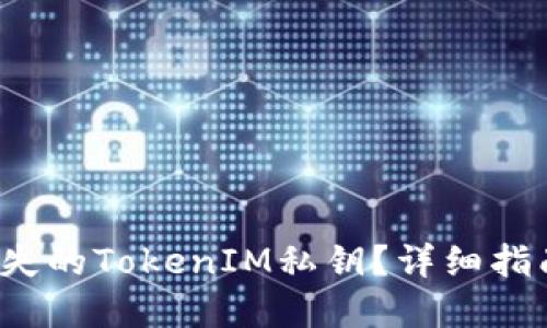  如何找回丢失的TokenIM私钥？详细指南与最佳实践