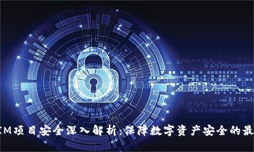 TokenIM项目安全深入解析：保障数字资产安全的最佳实践
