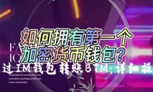 如何通过IM钱包转账BTM：详细操作指南