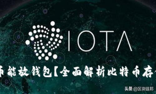 多少个比特币能放钱包？全面解析比特币存储与钱包功能