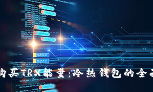 如何购买TRX能量：冷热钱包的全面指南