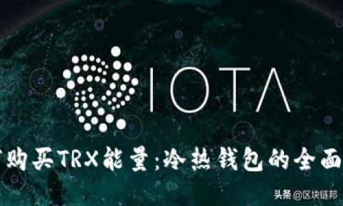 如何购买TRX能量：冷热钱包的全面指南