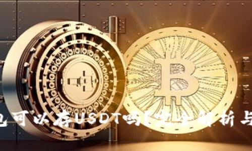 : BTC钱包可以存USDT吗？完全解析与实用指南