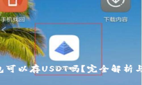 : BTC钱包可以存USDT吗？完全解析与实用指南