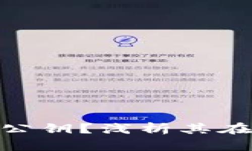 什么是Tokenim公钥？浅析其在区块链中的作用